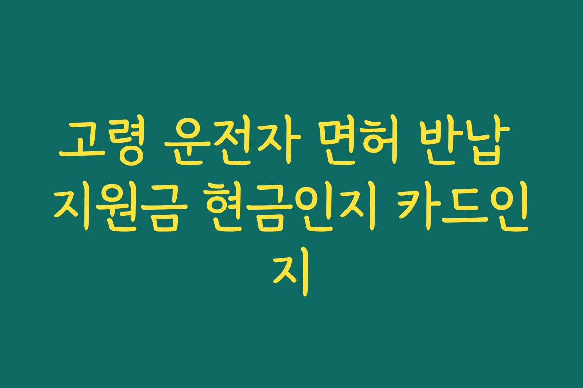 고령 운전자 면허 반납 지원금 현금인지 카드인지