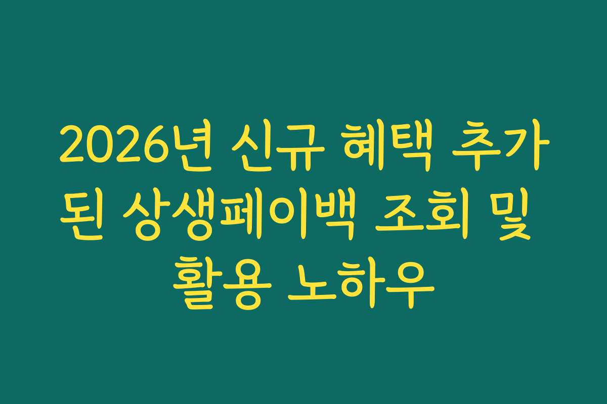 2026년 신규 혜택 추가된 상생페이백 조회 및 활용 노하우