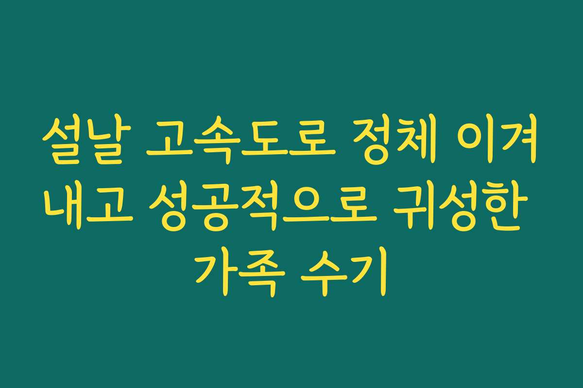 설날 고속도로 정체 이겨내고 성공적으로 귀성한 가족 수기