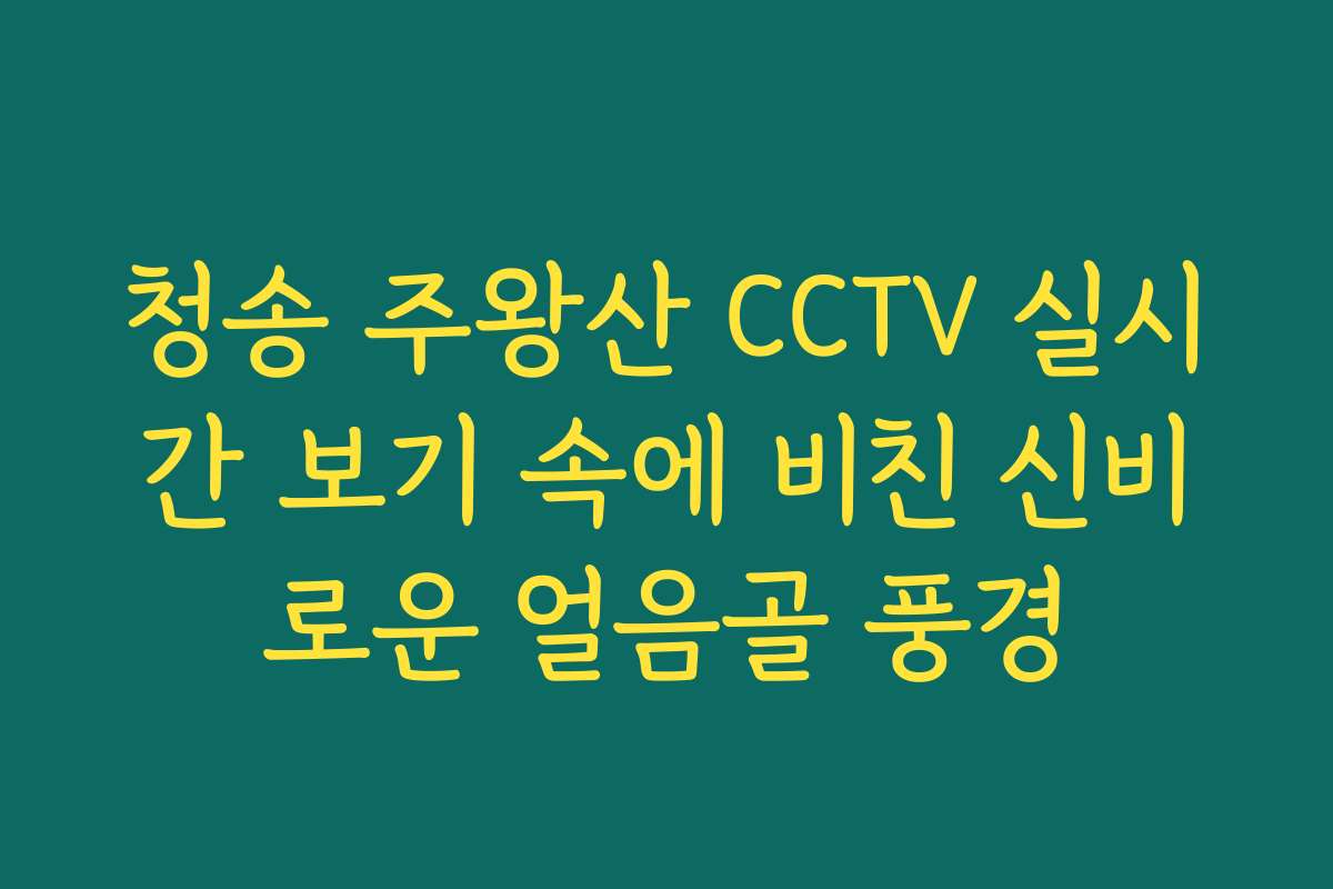청송 주왕산 CCTV 실시간 보기 속에 비친 신비로운 얼음골 풍경