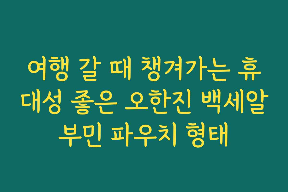 여행 갈 때 챙겨가는 휴대성 좋은 오한진 백세알부민 파우치 형태 여행 갈 때 챙겨가는 휴대성 좋은 오한진 백세알부민 파우치 형태