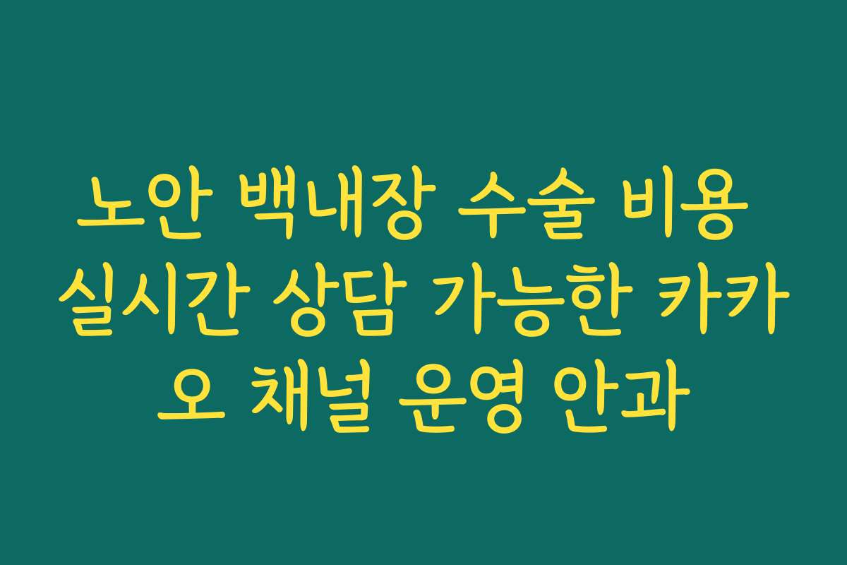 노안 백내장 수술 비용 실시간 상담 가능한 카카오 채널 운영 안과 노안 백내장 수술 비용 실시간 상담 가능한 카카오 채널 운영 안과