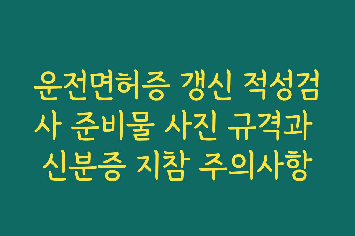 운전면허증 갱신 적성검사 준비물 사진 규격과 신분증 지참 주의사항