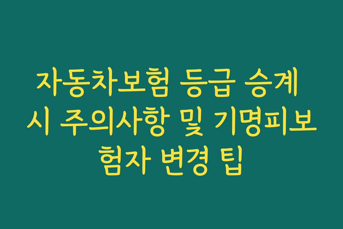 자동차보험 등급 승계 시 주의사항 및 기명피보험자 변경 팁 자동차보험 등급 승계 시 주의사항 및 기명피보험자 변경 팁