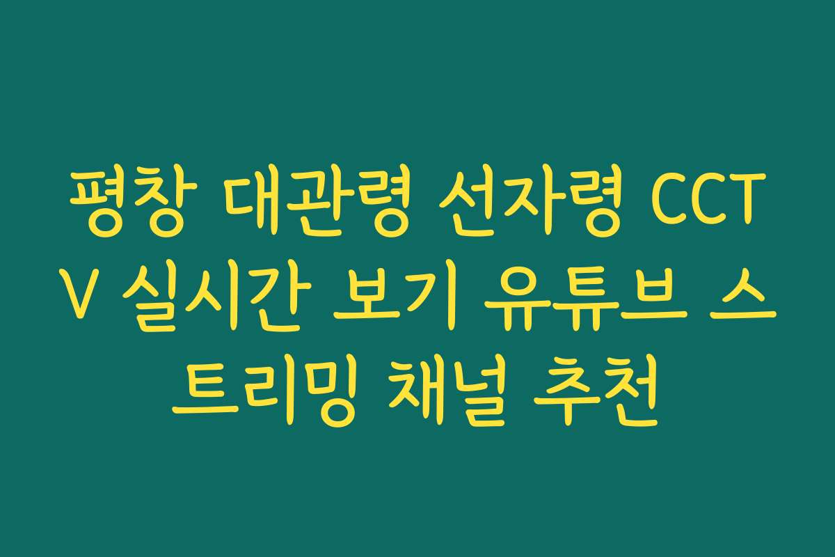 평창 대관령 선자령 CCTV 실시간 보기 유튜브 스트리밍 채널 추천