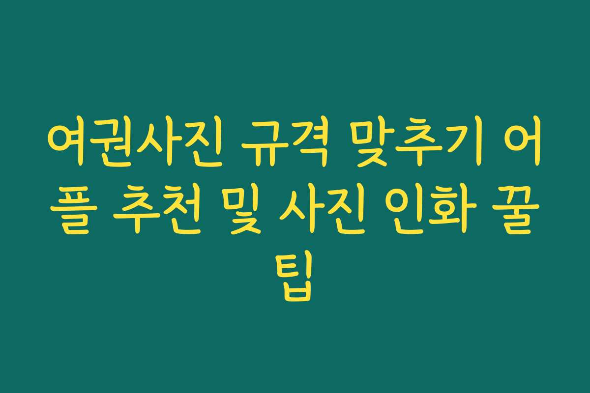 여권사진 규격 맞추기 어플 추천 및 사진 인화 꿀팁 여권사진 규격 맞추기 어플 추천 및 사진 인화 꿀팁