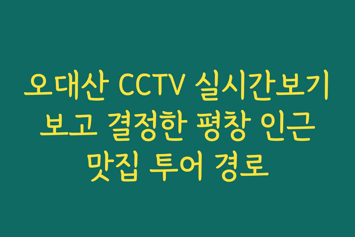 오대산 CCTV 실시간보기 보고 결정한 평창 인근 맛집 투어 경로