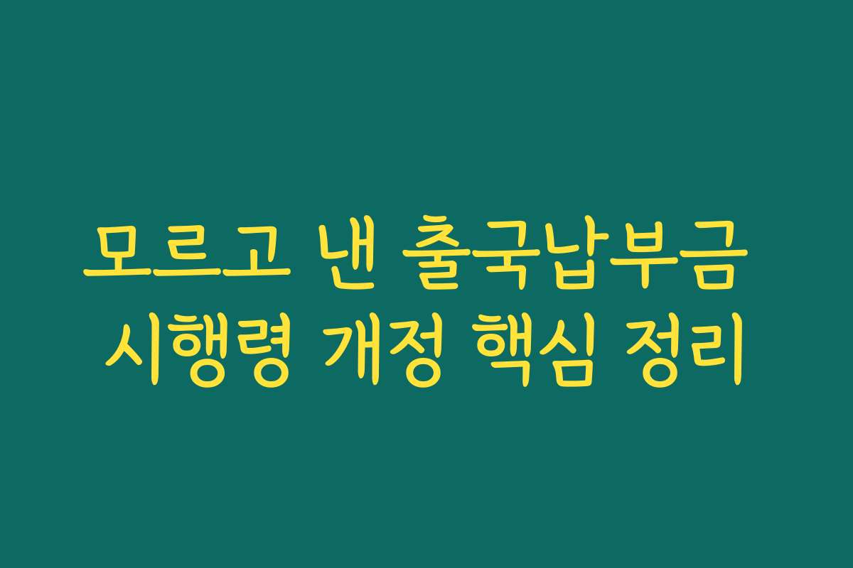 모르고 낸 출국납부금 시행령 개정 핵심 정리