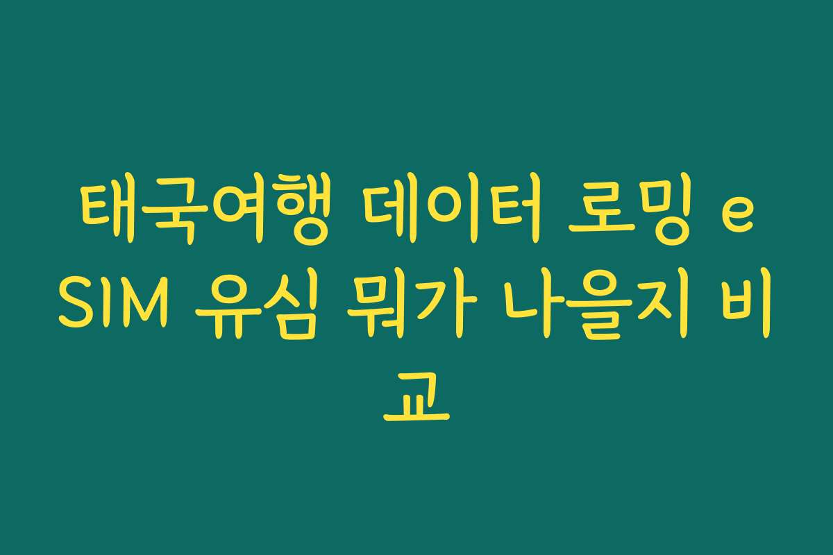태국여행 데이터 로밍 eSIM 유심 뭐가 나을지 비교 태국여행 데이터 로밍 eSIM 유심 뭐가 나을지 비교