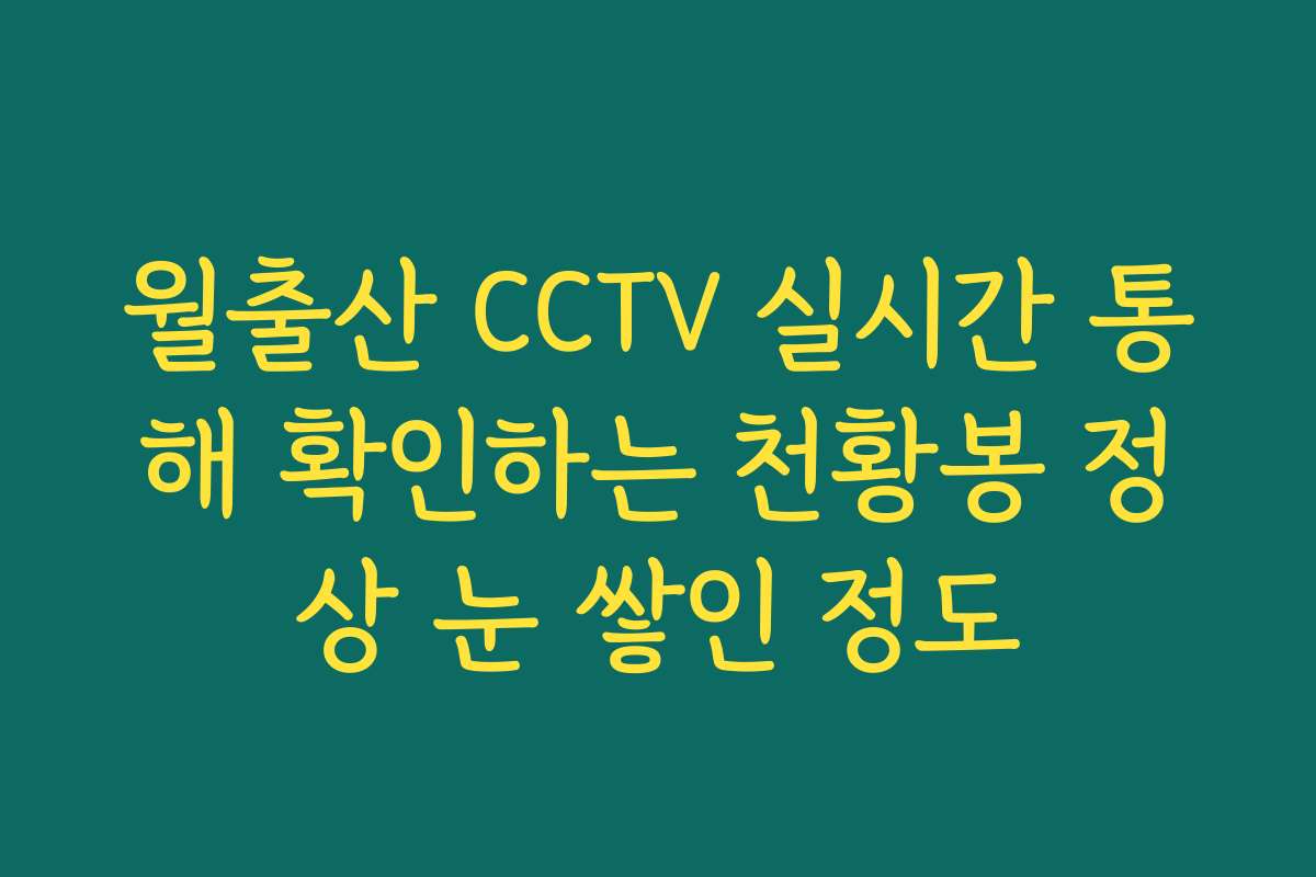 월출산 CCTV 실시간 통해 확인하는 천황봉 정상 눈 쌓인 정도