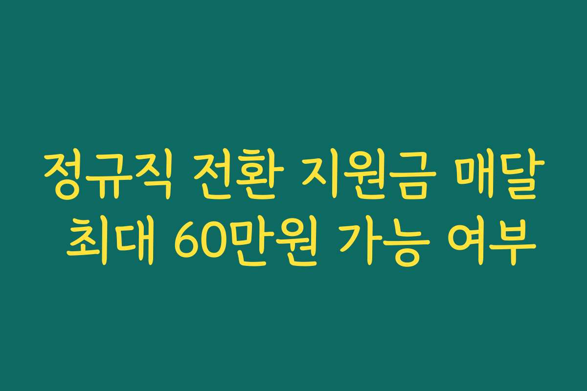 정규직 전환 지원금 매달 최대 60만원 가능 여부