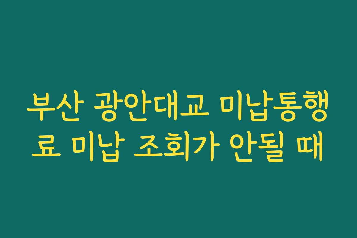 부산 광안대교 미납통행료 미납 조회가 안될 때 부산 광안대교 미납통행료 미납 조회가 안될 때