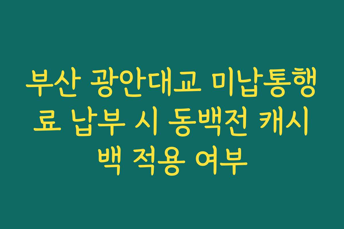 부산 광안대교 미납통행료 납부 시 동백전 캐시백 적용 여부