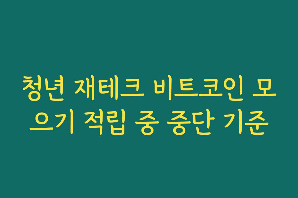 청년 재테크 비트코인 모으기 적립 중 중단 기준