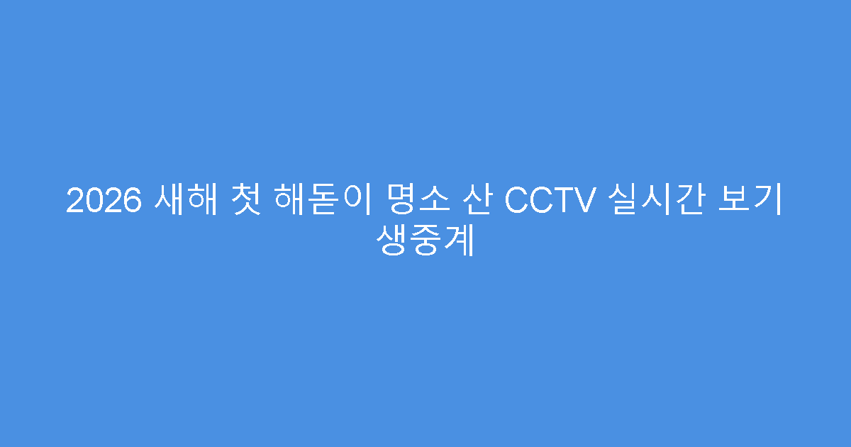 2026 새해 첫 해돋이 명소 산 CCTV 실시간 보기 생중계