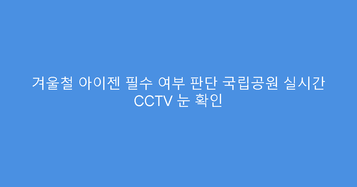 겨울철 아이젠 필수 여부 판단 국립공원 실시간 CCTV 눈 확인