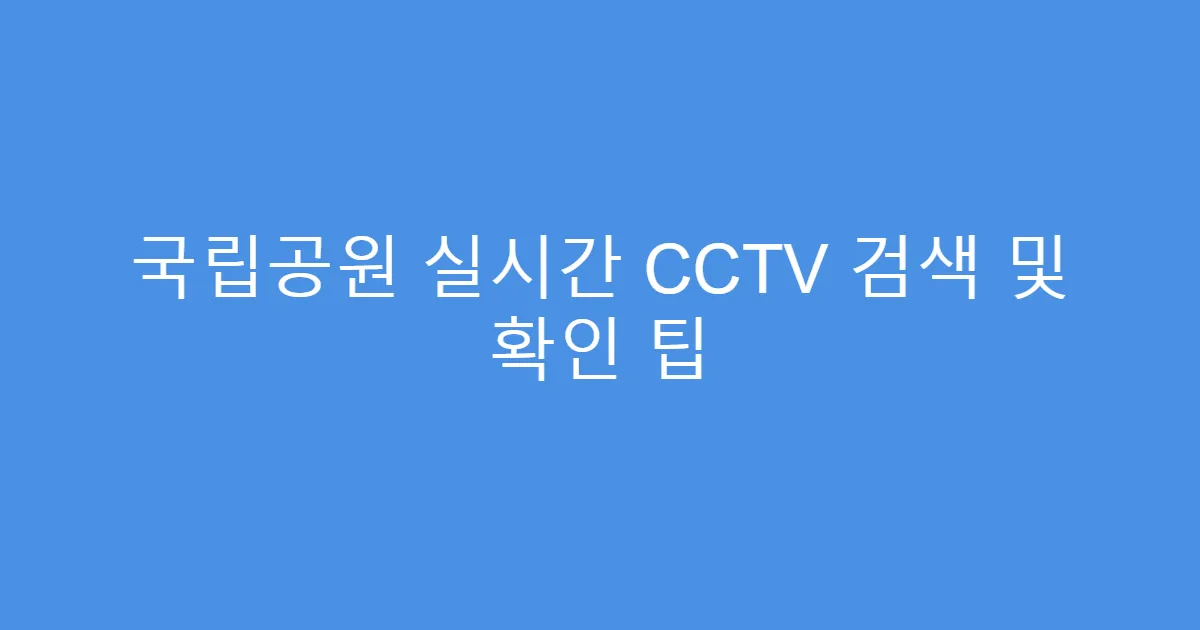 국립공원 실시간 CCTV 검색 및 확인 팁