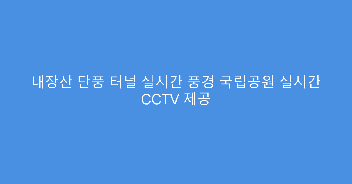 내장산 단풍 터널 실시간 풍경 국립공원 실시간 CCTV 제공
