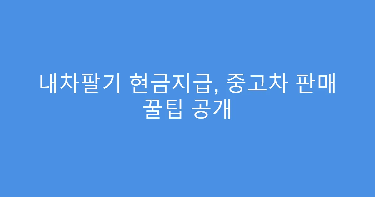 내차팔기 현금지급, 중고차 판매 꿀팁 공개