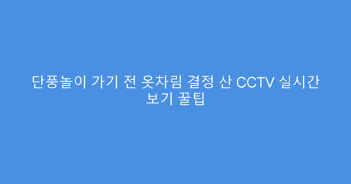 단풍놀이 가기 전 옷차림 결정 산 CCTV 실시간 보기 꿀팁