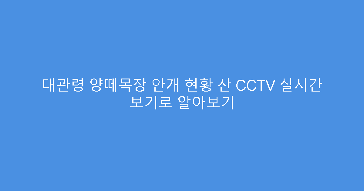 대관령 양떼목장 안개 현황 산 CCTV 실시간 보기로 알아보기