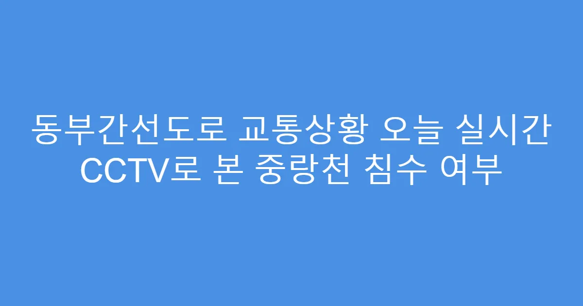 동부간선도로 교통상황 오늘 실시간 CCTV로 본 중랑천 침수 여부