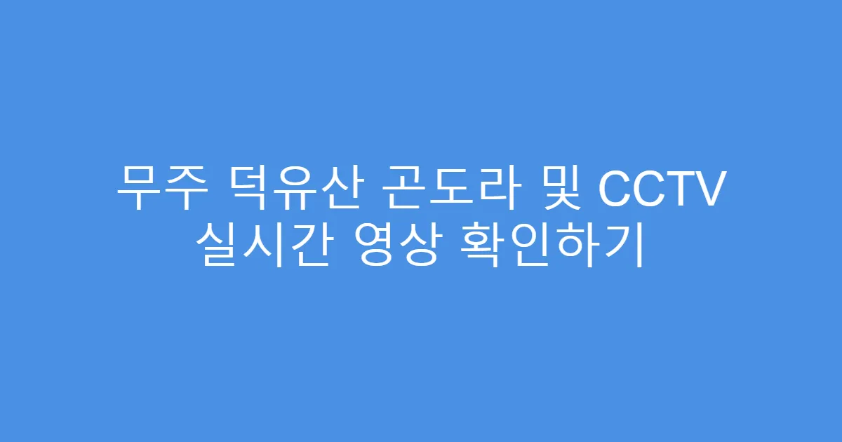 무주 덕유산 곤도라 및 CCTV 실시간 영상 확인하기