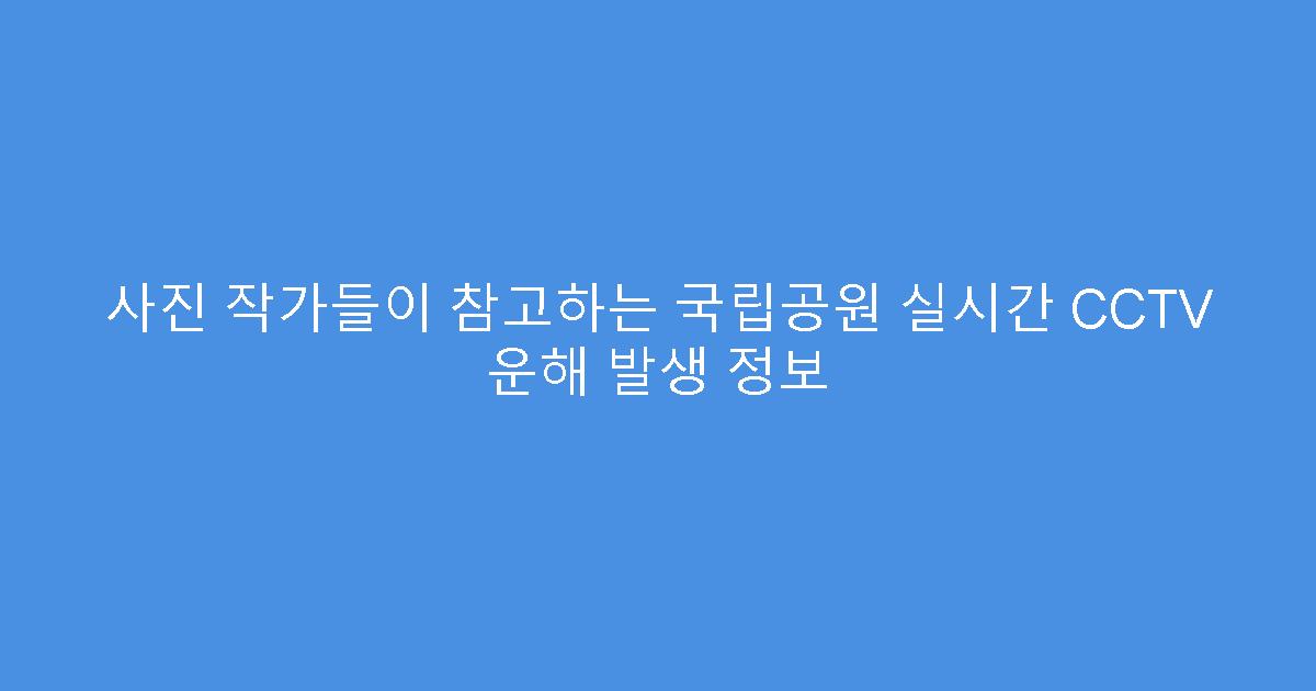 사진 작가들이 참고하는 국립공원 실시간 CCTV 운해 발생 정보