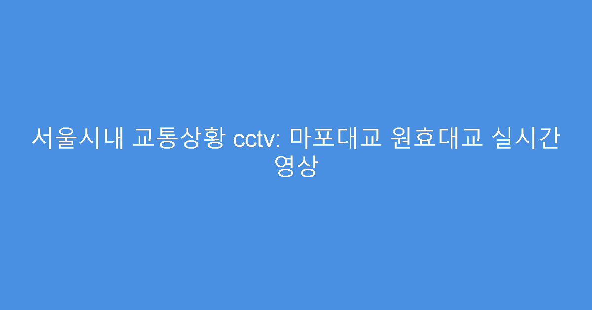 서울시내 교통상황 cctv: 마포대교 원효대교 실시간 영상