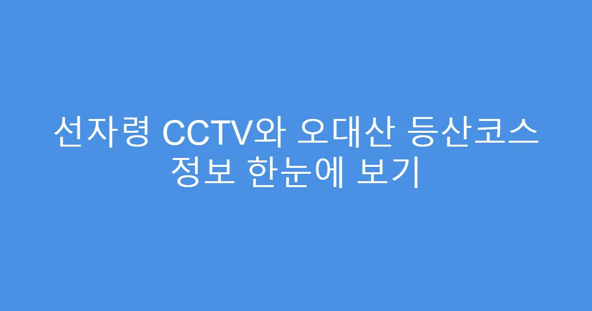 선자령 CCTV와 오대산 등산코스 정보 한눈에 보기