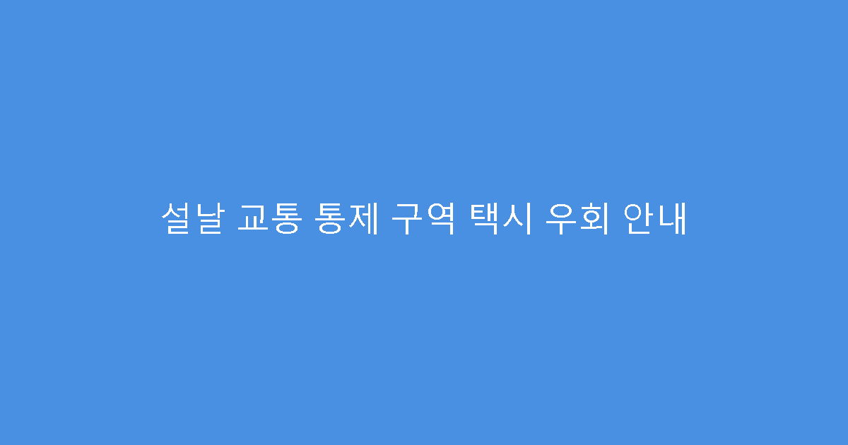 설날 교통 통제 구역 택시 우회 안내