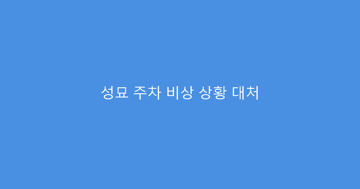 성묘 주차 비상 상황 대처