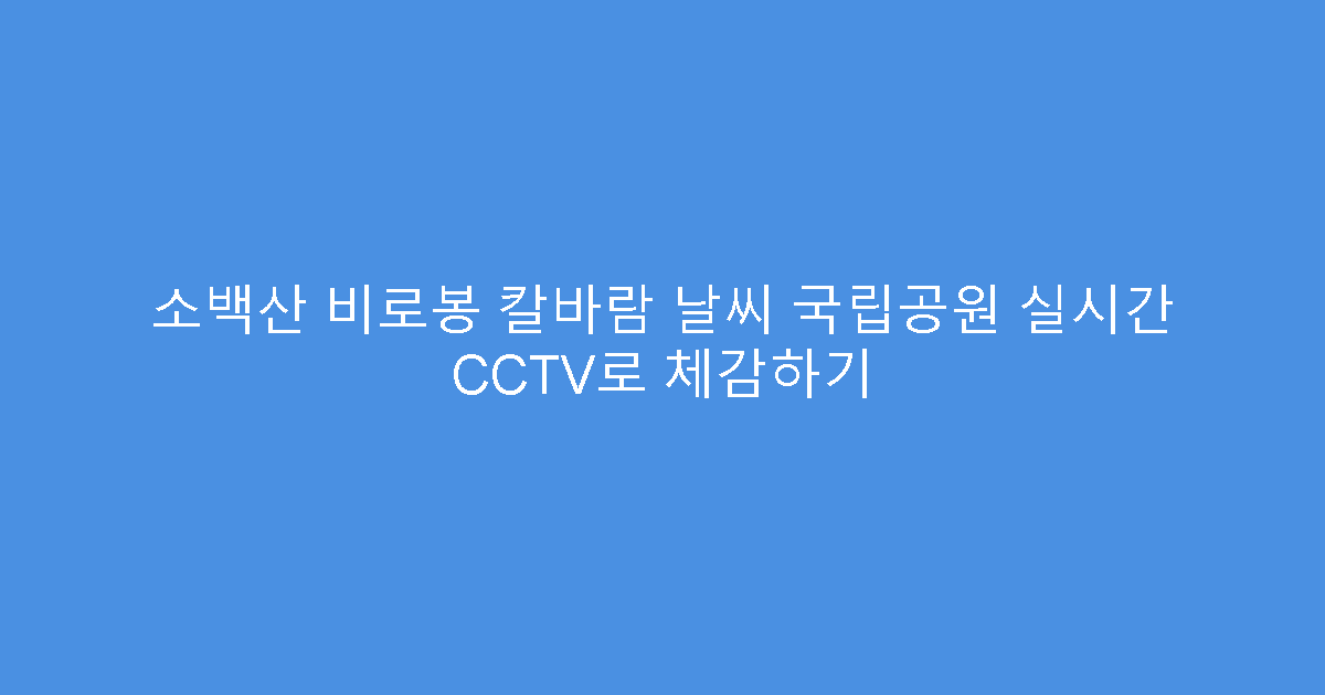 소백산 비로봉 칼바람 날씨 국립공원 실시간 CCTV로 체감하기