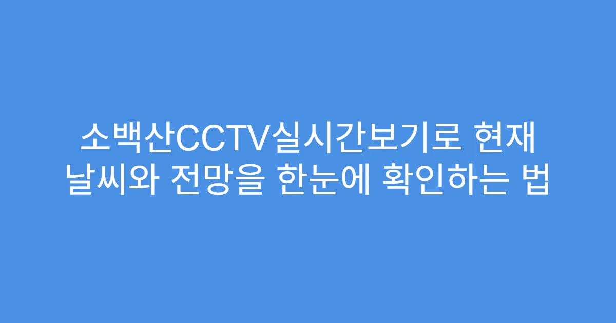 소백산CCTV실시간보기로 현재 날씨와 전망을 한눈에 확인하는 법