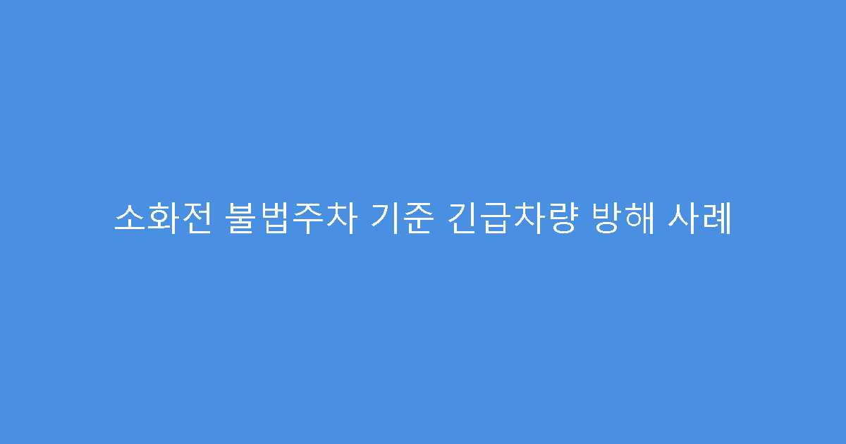 소화전 불법주차 기준 긴급차량 방해 사례