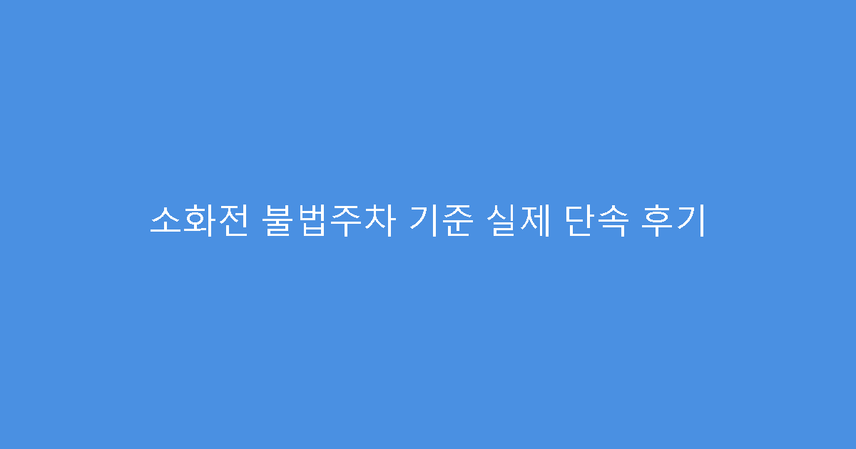 소화전 불법주차 기준 실제 단속 후기