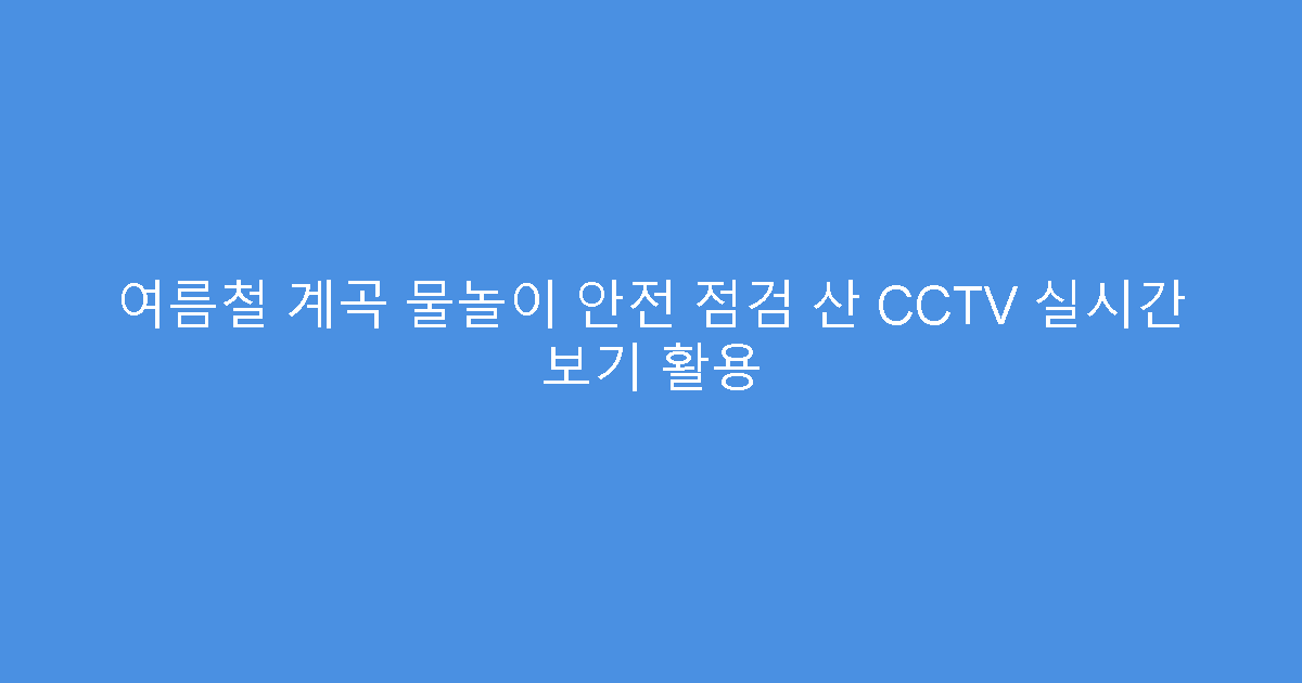 여름철 계곡 물놀이 안전 점검 산 CCTV 실시간 보기 활용