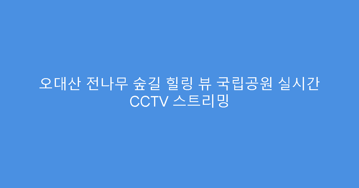 오대산 전나무 숲길 힐링 뷰 국립공원 실시간 CCTV 스트리밍