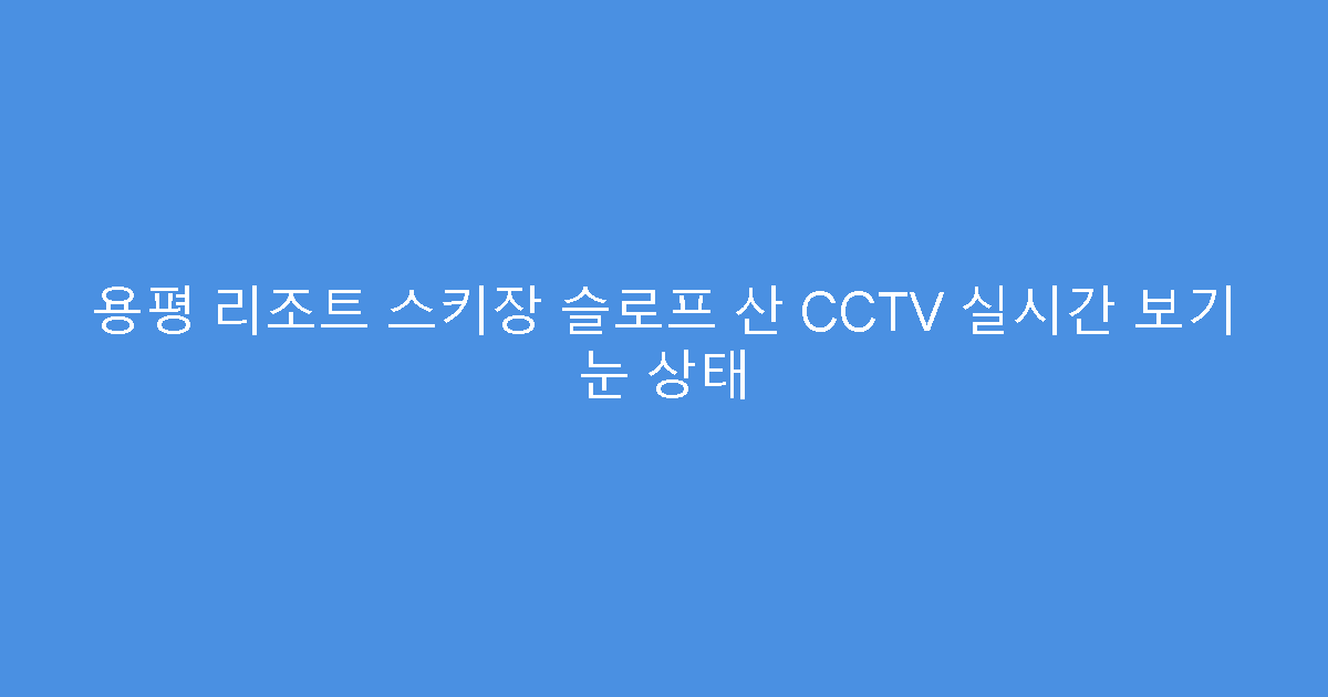 용평 리조트 스키장 슬로프 산 CCTV 실시간 보기 눈 상태