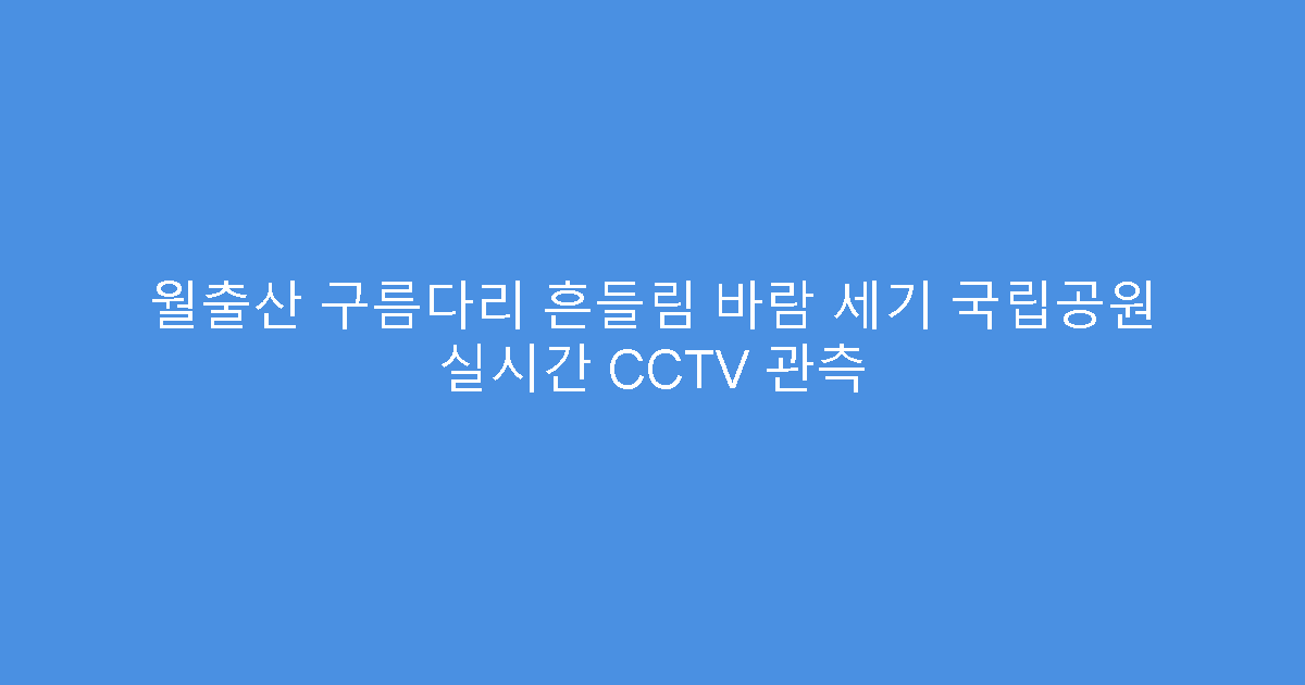 월출산 구름다리 흔들림 바람 세기 국립공원 실시간 CCTV 관측
