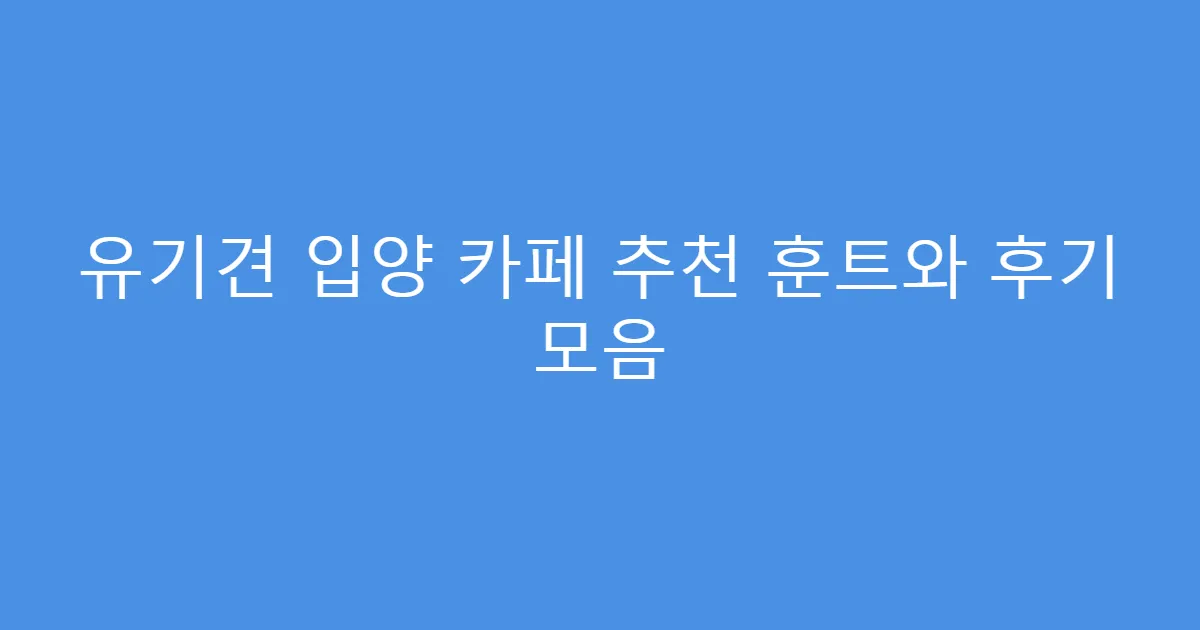 유기견 입양 카페 추천 훈트와 후기 모음