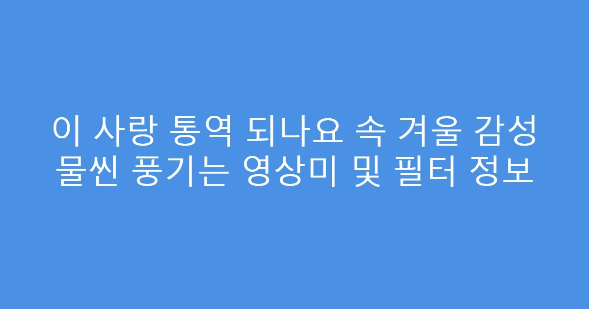 이 사랑 통역 되나요 속 겨울 감성 물씬 풍기는 영상미 및 필터 정보