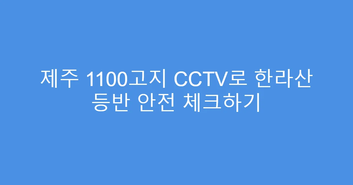 제주 1100고지 CCTV로 한라산 등반 안전 체크하기