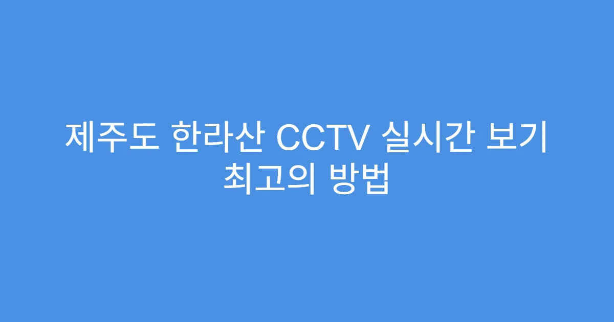 제주도 한라산 CCTV 실시간 보기 최고의 방법