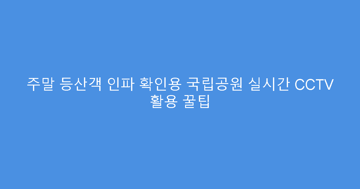 주말 등산객 인파 확인용 국립공원 실시간 CCTV 활용 꿀팁