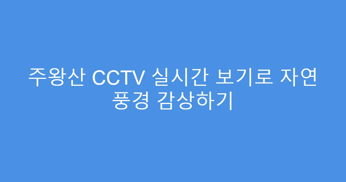 주왕산 CCTV 실시간 보기로 자연 풍경 감상하기