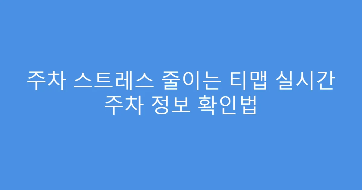 주차 스트레스 줄이는 티맵 실시간 주차 정보 확인법