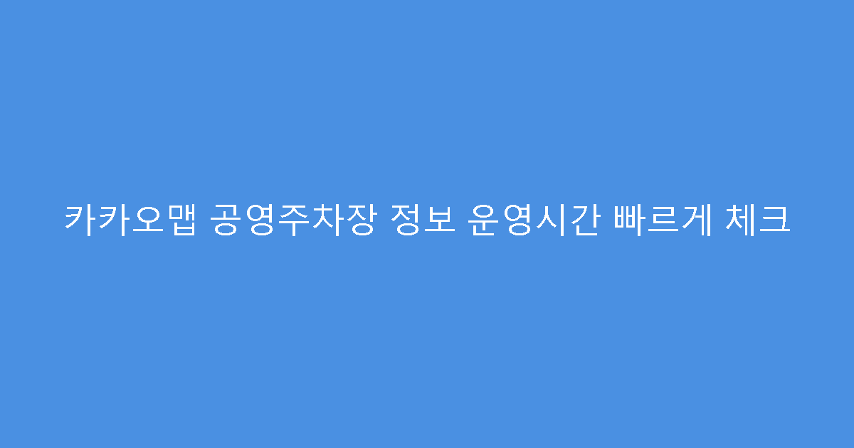 카카오맵 공영주차장 정보 운영시간 빠르게 체크