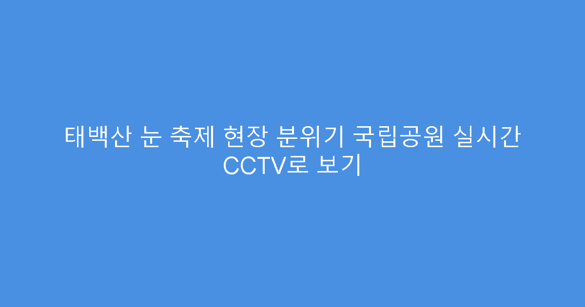 태백산 눈 축제 현장 분위기 국립공원 실시간 CCTV로 보기