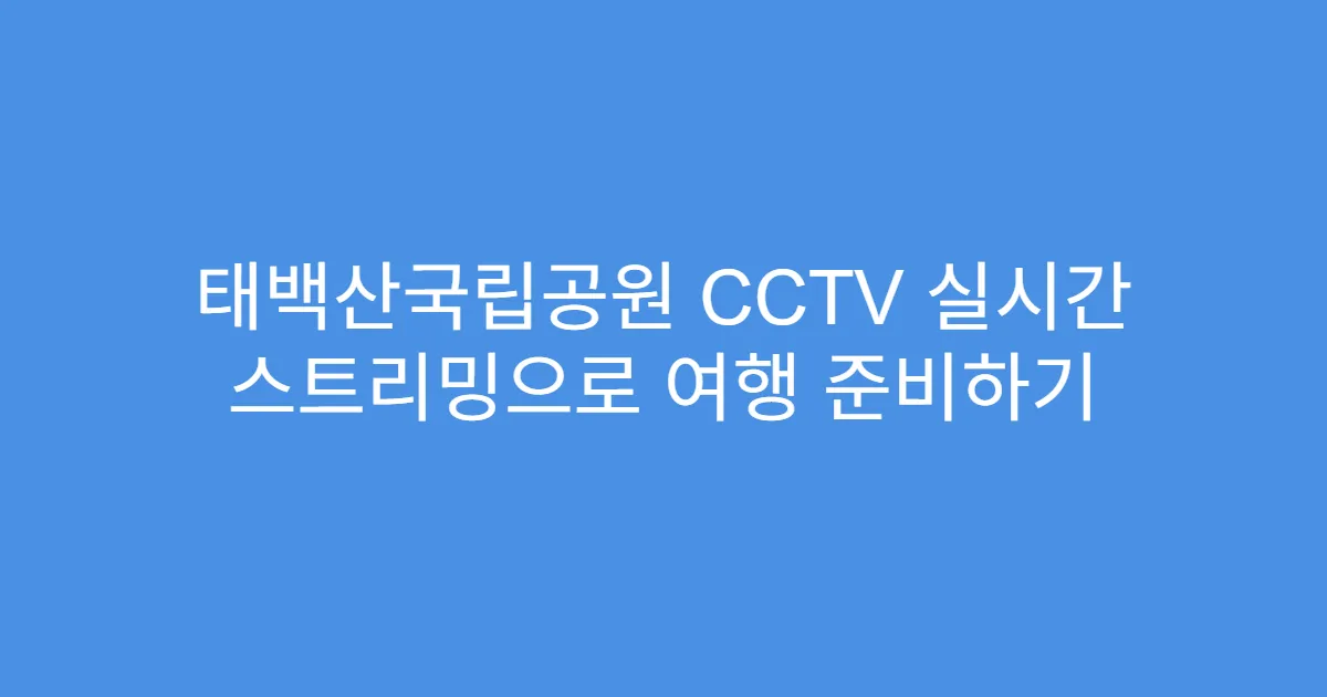 태백산국립공원 CCTV 실시간 스트리밍으로 여행 준비하기